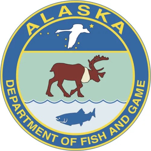 Alaska Cuts Susitna River Coho Limit and Bans Bait Through September