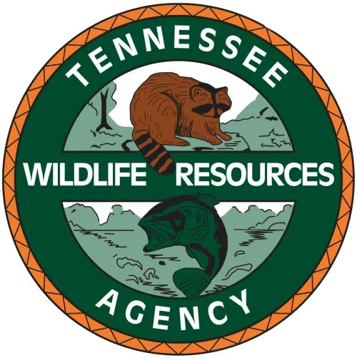 TWRA Opens Public Input on Statewide Black Bass Management Plan
