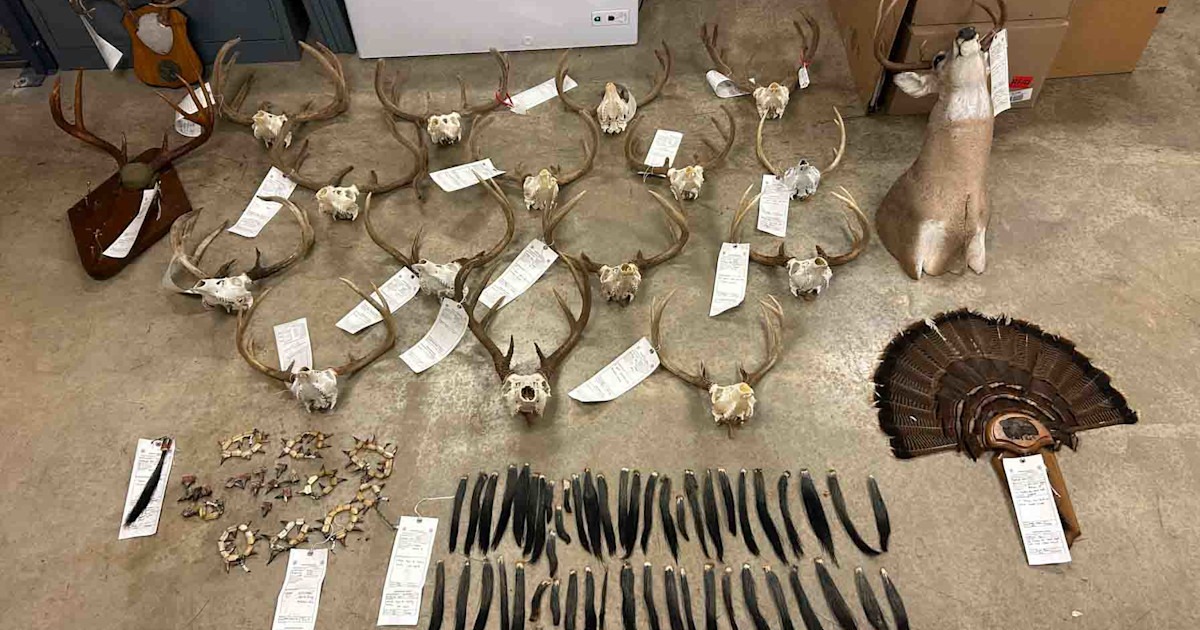 Tennessee Poacher Gets Lifetime Hunting Ban After Multi-Year Case