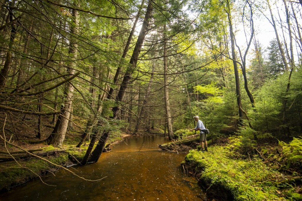 Trout Unlimited Urges Anglers to Back Off Stressed Trout During Drought