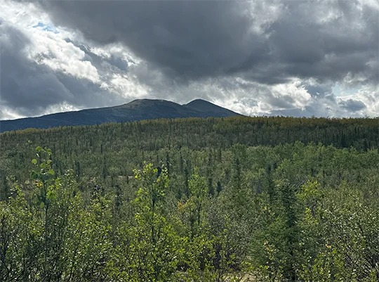Forest Service Proposes Rescinding Roadless Rule Across National Forests