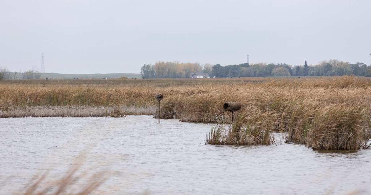 USFWS Opens Comment Period on Drain Tile Setbacks That Protect Prairie Wetlands