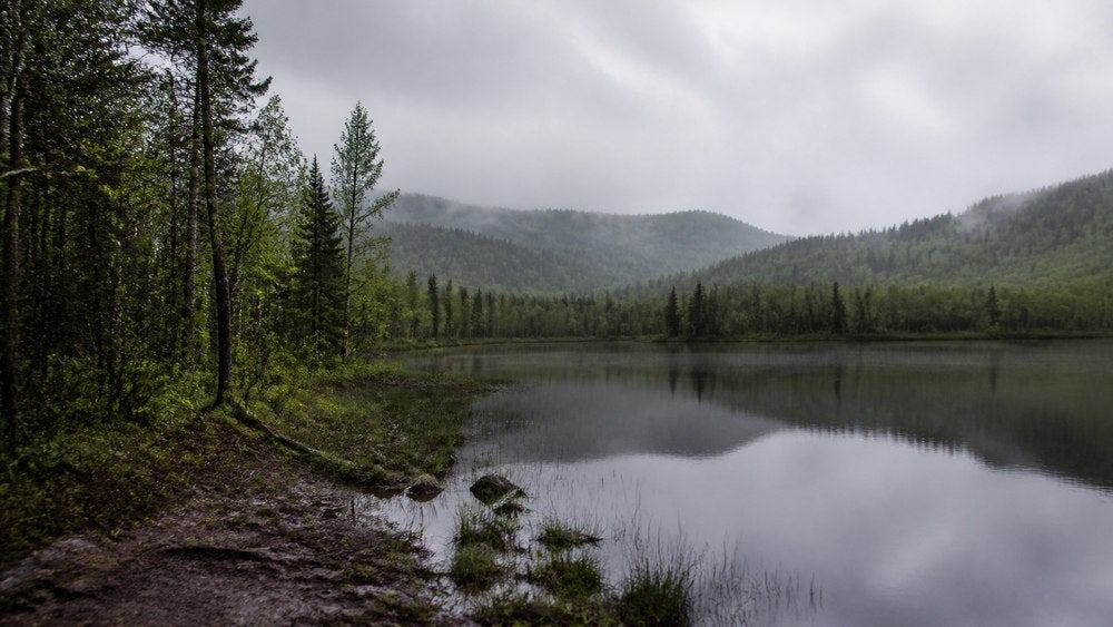 Vermont Bear Hunting Rule Changes Draw Packed Public Input