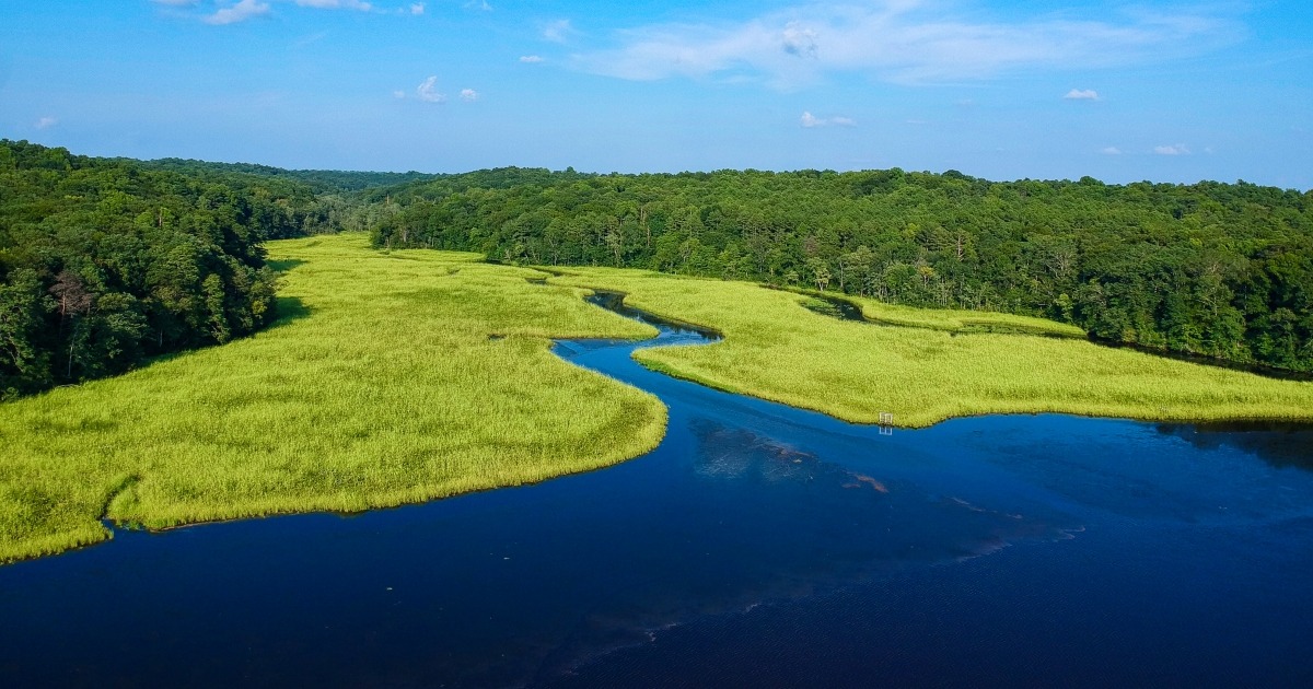 Interior Announces $67M+ for Wetlands, Waterfowl Habitat, and Refuges