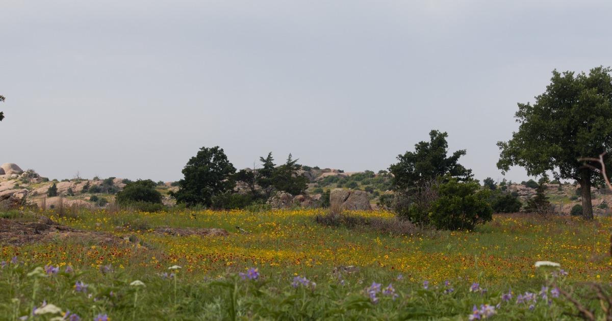 Wichita Mountains Refuge Begins Aerial Feral Swine Control