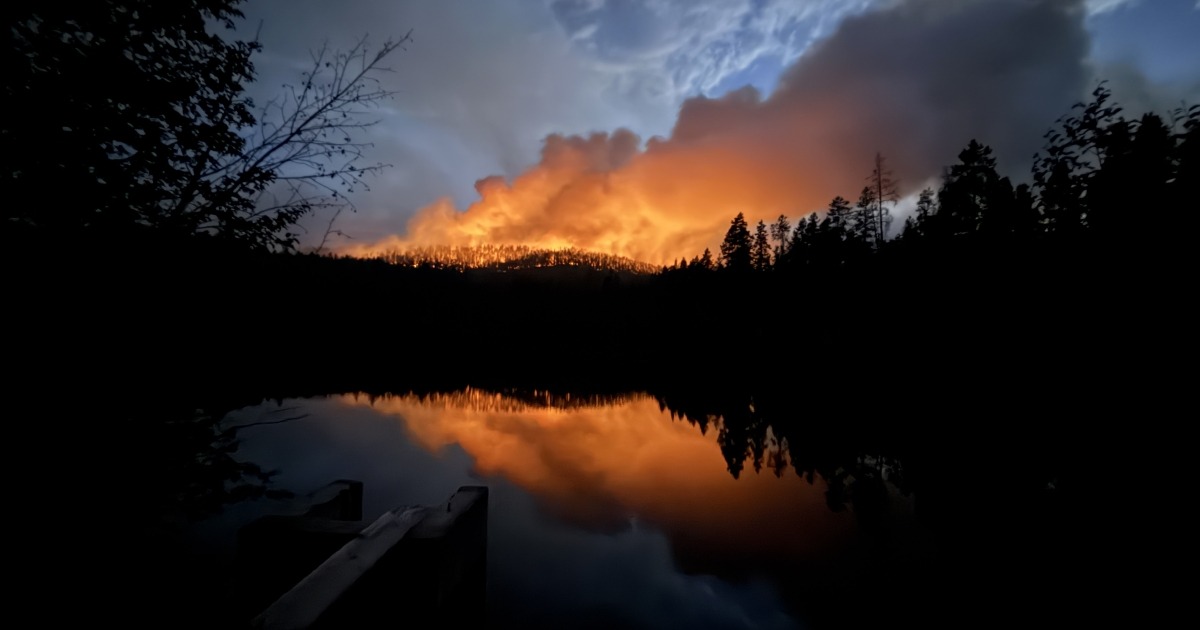 Willow Fire Forced a Race to Move Colorado Native Fish Out of Harm’s Way