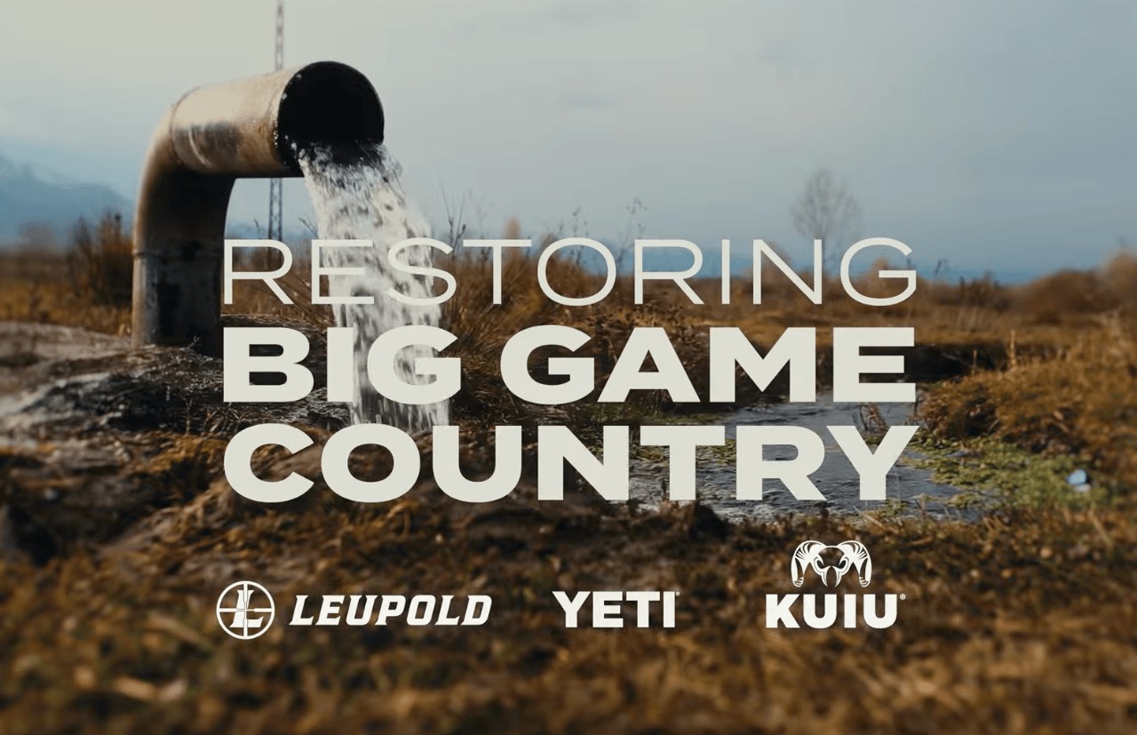 Wisconsin Elk Habitat Work Keeps Public-Land Openings on the Map
