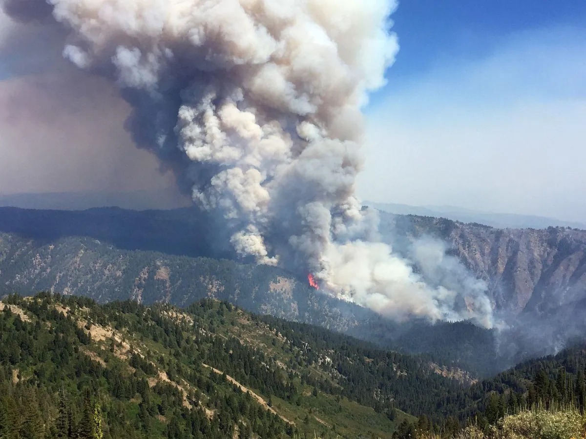 Worst Wildfire Year in a Decade Puts Habitat, Access, and Wildlife at Risk