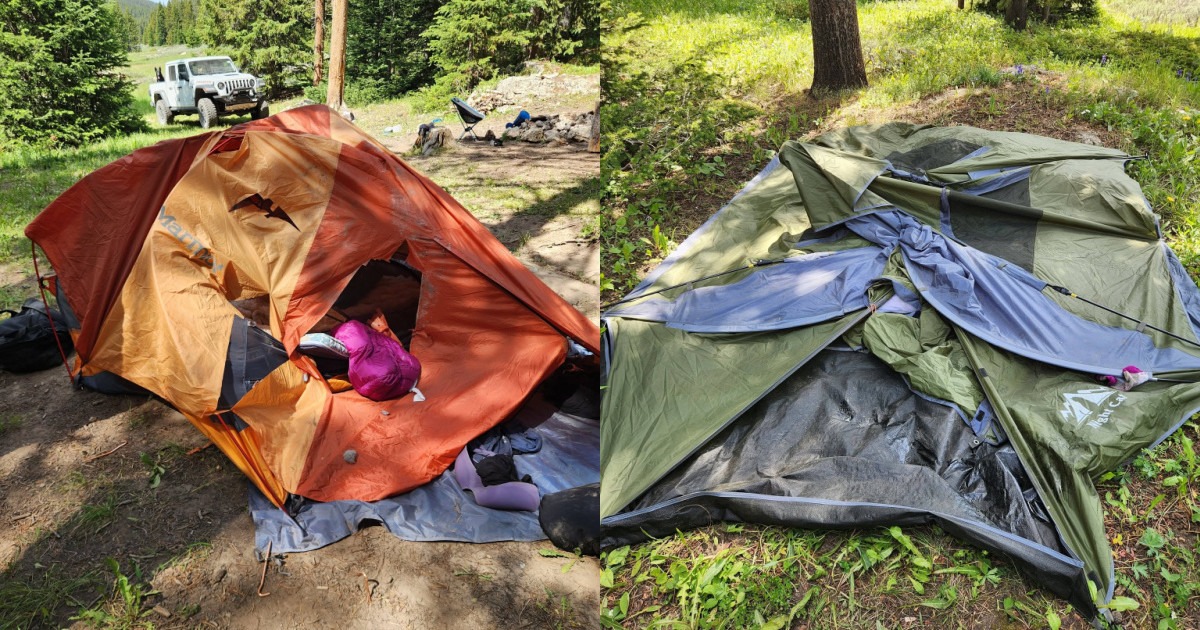 Wyoming Campers Escape Black Bear Tent Attack in the Big Horn Mountains