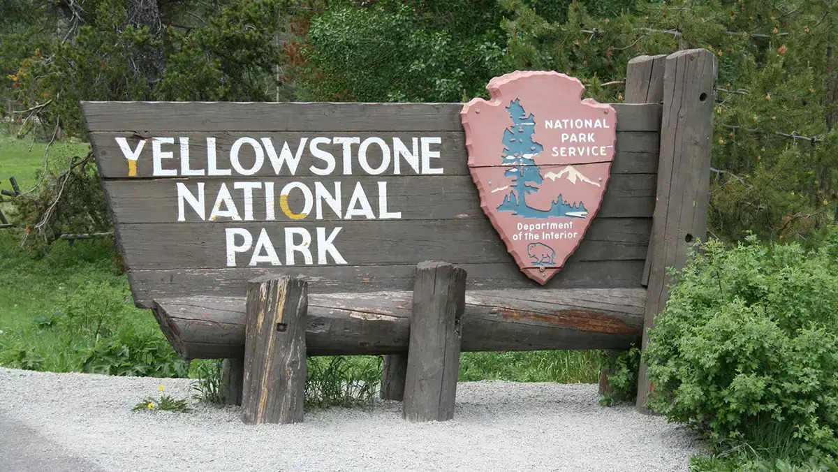 Yellowstone Closes Buffalo Creek to Remove Invasive Rainbow Trout