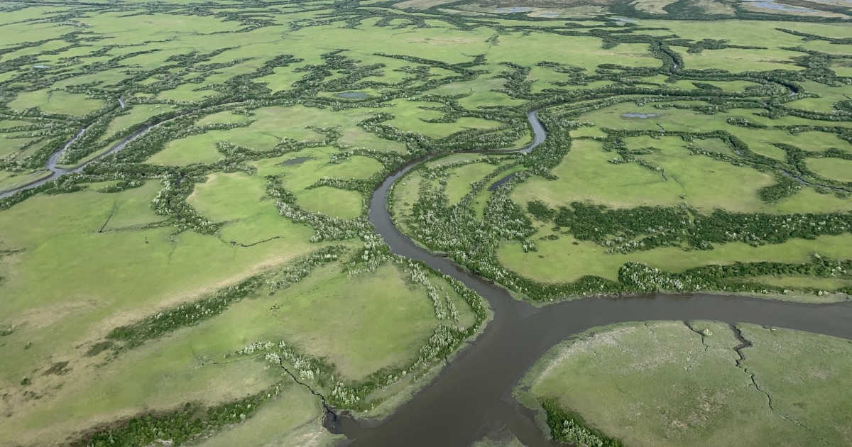Yukon Delta Refuge Fiber Cable Review Puts Infrastructure and Wildlife Mission in the Same Room