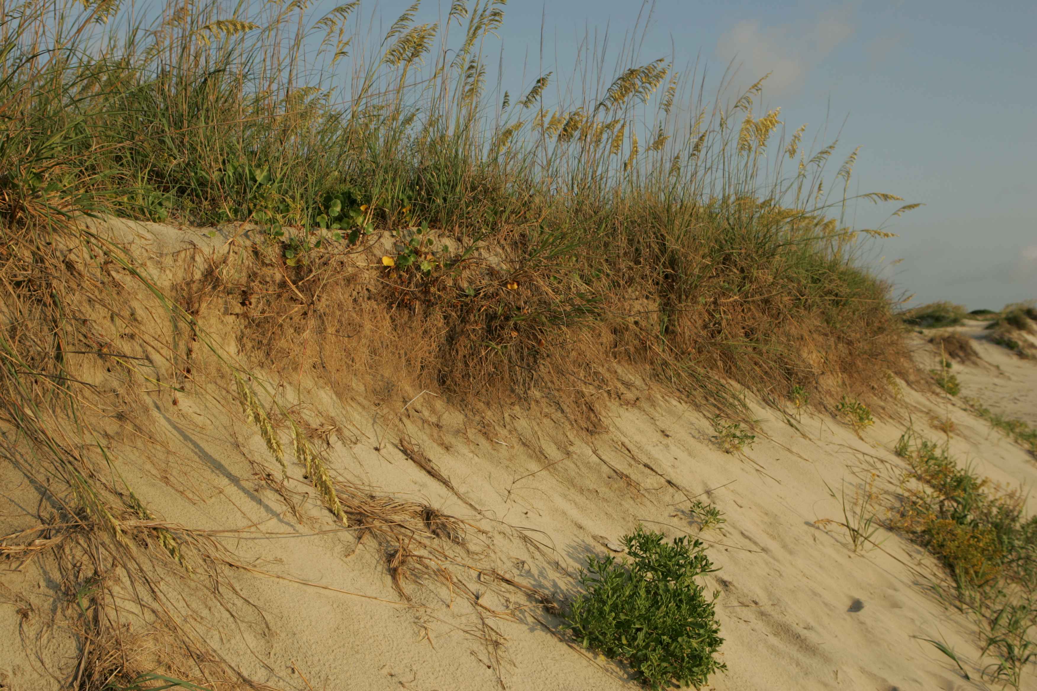 Pea Island Visitor Center Set to Reopen October 9 After Storm Repairs