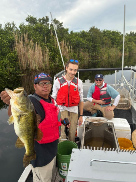 Miccosukee Fisheries Surveys Add Wet-Season Sampling and Fish Health Checks
