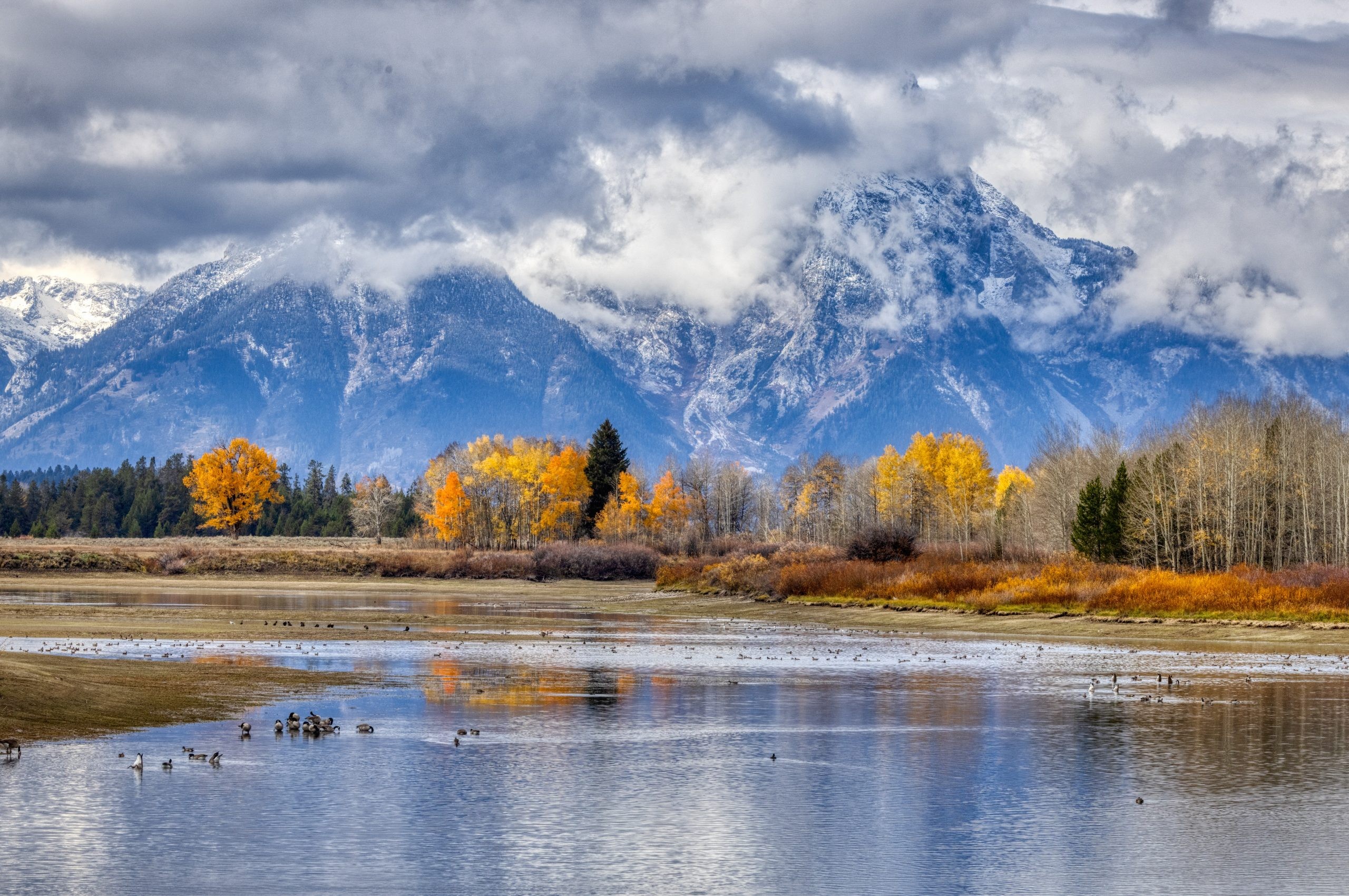 Hunting Executive Order Directs Federal Access Reviews and Habitat Work