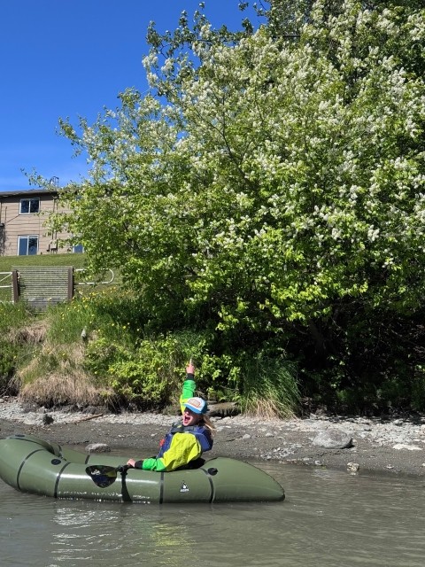 Alaska Chokecherry Removal Targets Moose Forage and Salmon Stream Habitat