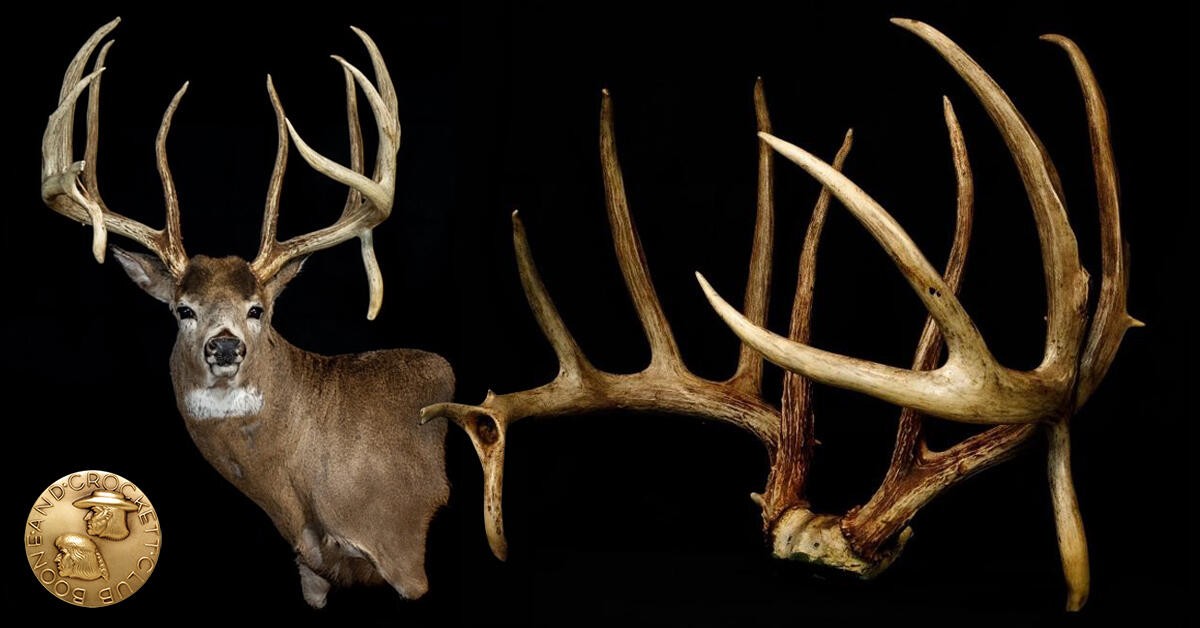 1991 Illinois Buck Verified as Largest U.S. Typical in Boone and Crockett Records
