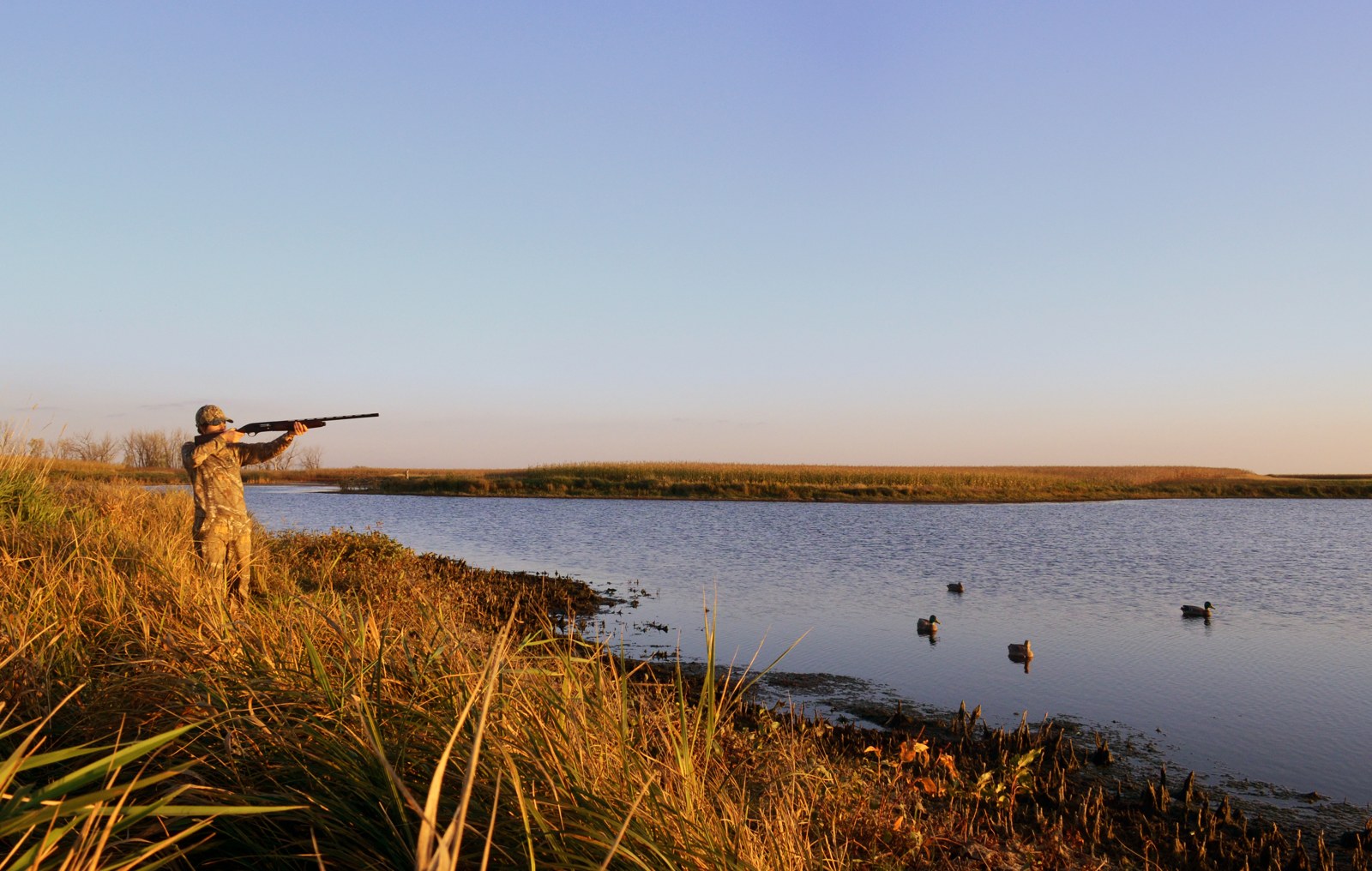 Maryland Sets November 7 Waterfowl Hunt for Youth, Veterans and Military Hunters