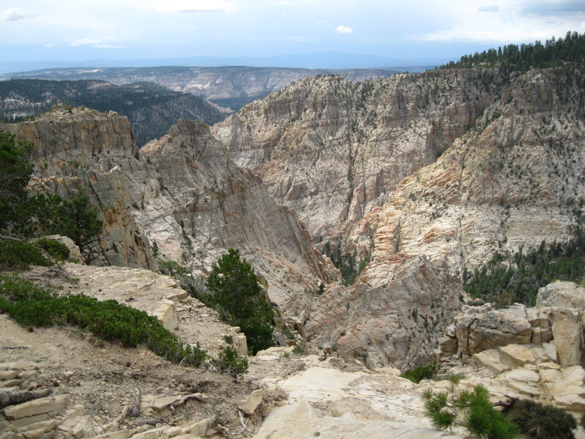Southern Utah Habitat Work Gets $2.5 Million Stewardship Agreement