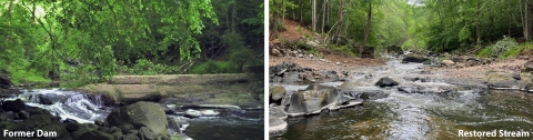 Small Dam Removal Reopens Fish Passage at Maryland’s Camp Conowingo