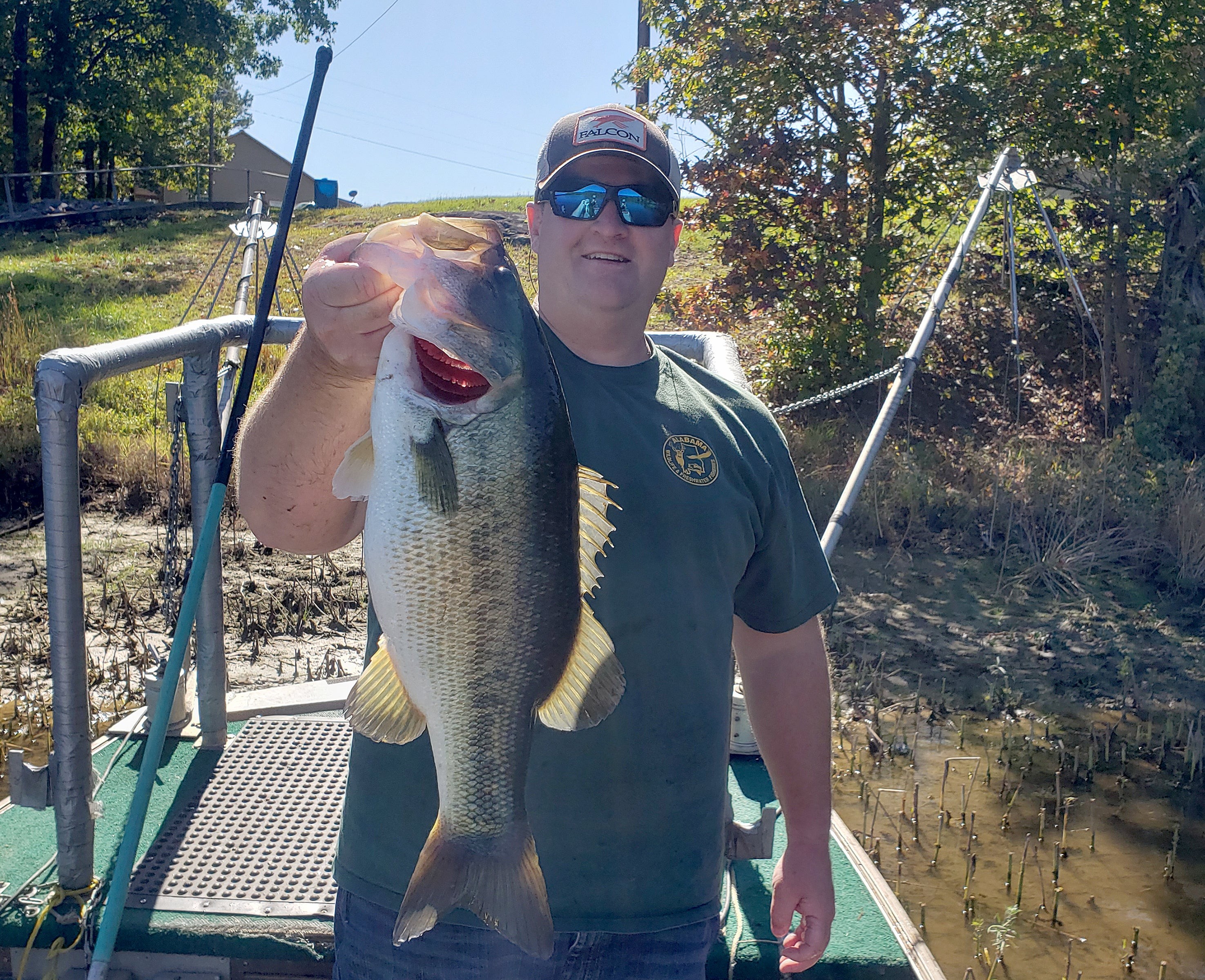 DeKalb County Lake Shows What Habitat Work and Targeted Bass Harvest Can Do