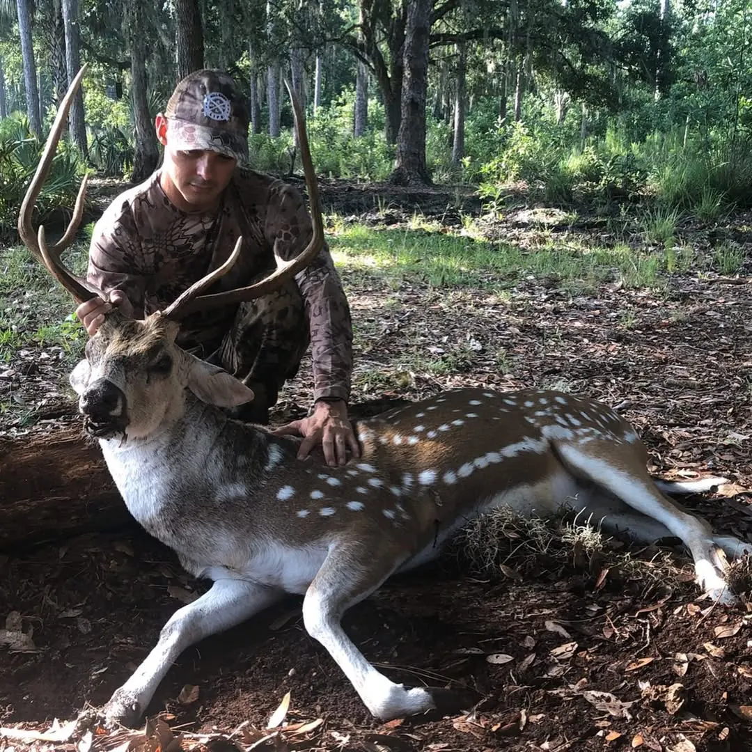 Hunter with a harvested axis buck in the woods