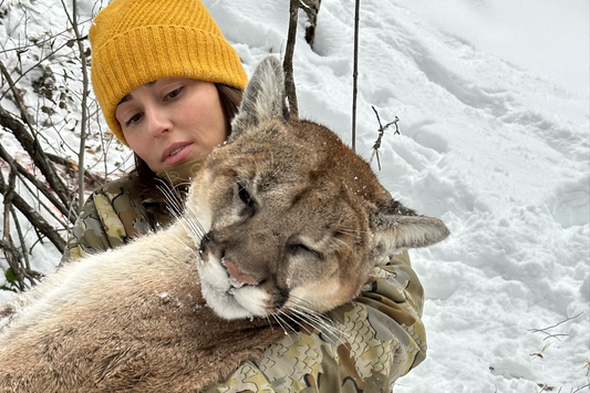 Predator Control: Key to Healthy Elk and Deer Herds