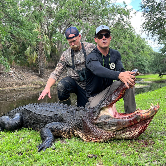 Converting 12 Feet of American Alligator into Sausage