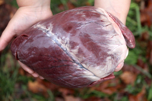 Eating The Heart