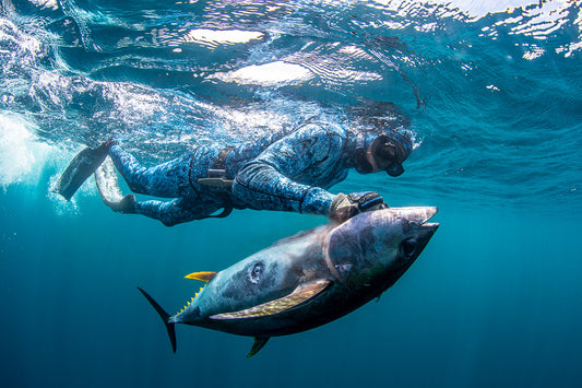 Spearfishing: Dive Into Benefits for Mind, Body, and Health