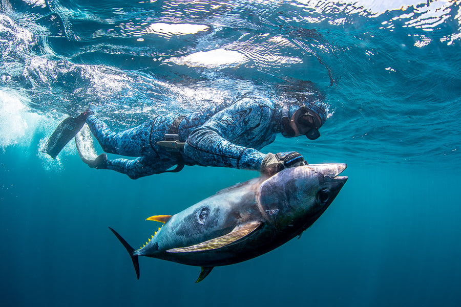 Spearfishing: Dive Into Benefits for Mind, Body, and Health