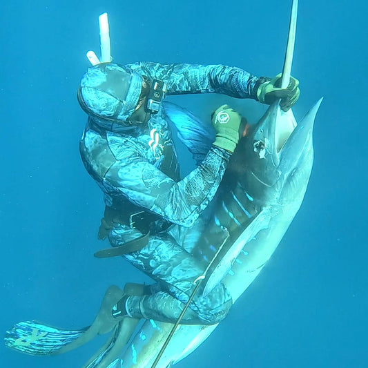 Why Spearfishing Billfish Makes Sense for Conservation