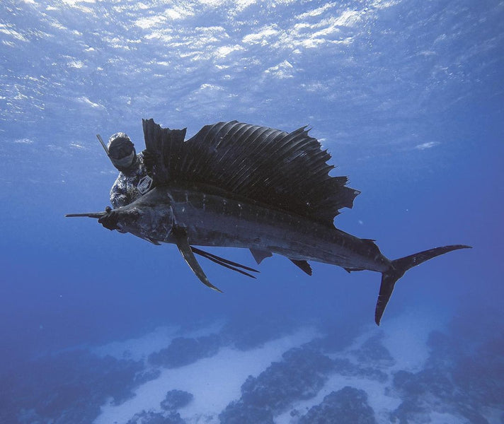 Spearfishing: A Sustainable and Ethical Approach to Hunting Billfish