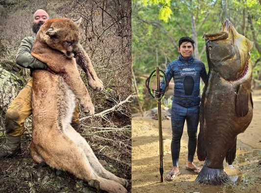 Predator Management Is Not About Hating Predators