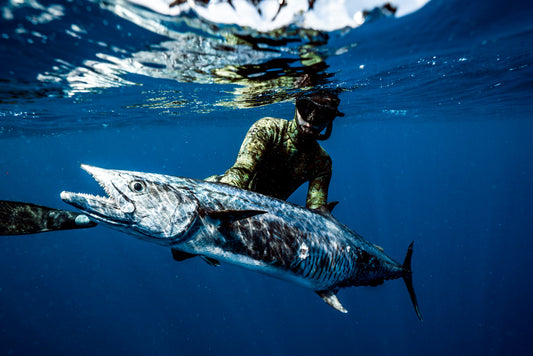 Spearfishing for Wahoo: A Guide