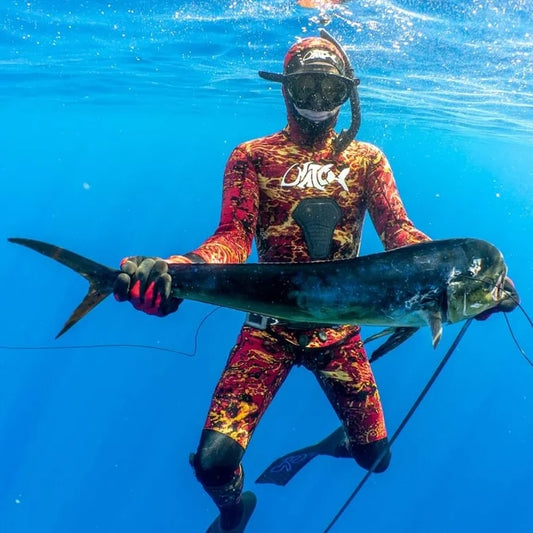 Selecting the Ideal Wetsuit for Spearfishing